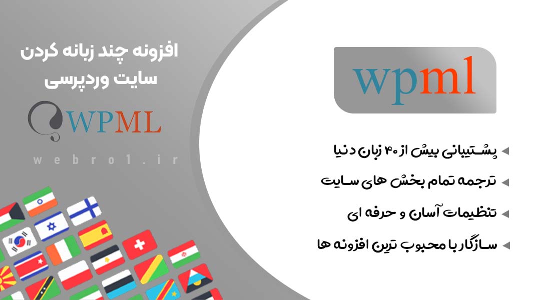 افزونه WPML